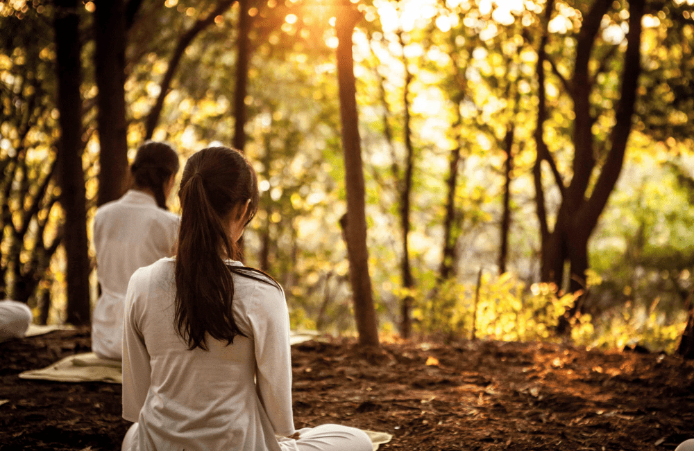 Ανώνυμο σχέδιο 1 1